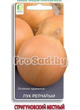 Лук репчатый Стригуновский местный