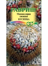 Маммиллярия снежная Бусинка