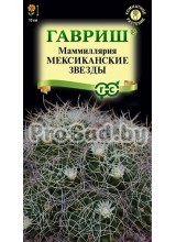 Маммиллярия Мексиканские звезды