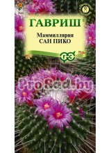 Маммиллярия Толука Сан Пико