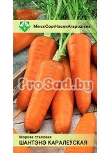 Морковь Королевское шантенэ