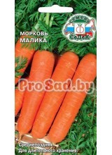 Морковь Малика