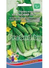 Огурец-корнишон Уральский засол