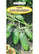 Огурец F1 Белорусский корнишон