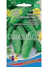 Огурец F1 Солёные уши