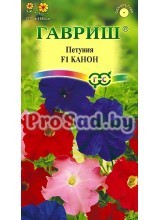 Петуния многоцветковая F1 Канон, смесь