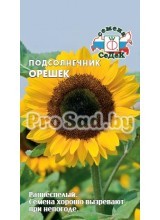 Подсолнечник Орешек