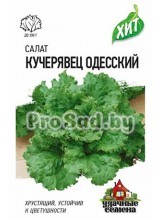 Салат Кучерявец Одесский