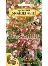 Салат листовой Дубовый лист красный
