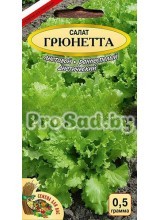 Салат листовой Грюнетта