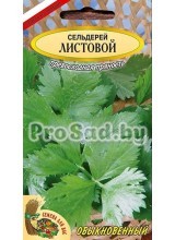 Сельдерей Листовой