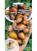 Томат Атомный виноград Бреда