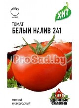 Томат Белый налив 241