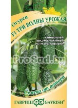Огурец F1 Три волны урожая