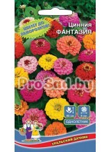 Цинния густомахровая Фантазия