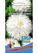 Цинния кактусовидная Снежный человек