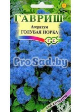 Агератум Голубая норка