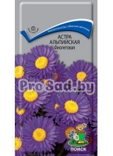 Астра альпийская Фиолетовая