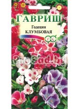 Годеция Клумбовая, смесь