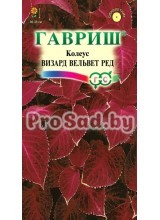 Колеус Визард Вельвет ред