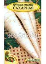 Петрушка корневая Сахарная