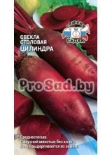Свекла столовая Цилиндра