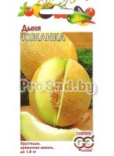 Дыня Южанка