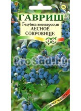 Голубика высокорослая Лесное сокровище