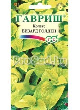 Колеус Визард голден