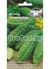 Огурец F1 Тополёк