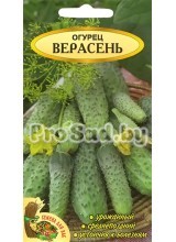 Огурец Верасень