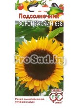 Подсолнечник Воронежский 638