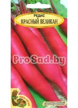 Редис Красный великан