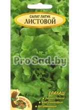 Салат Латук листовой (Польша)