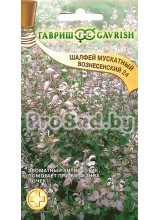 Шалфей мускатный Вознесенский 24