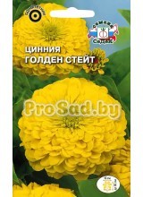 Цинния изящная георгиновидная Голден стейт