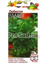 Любисток Удалец