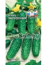 Огурец Засолочный