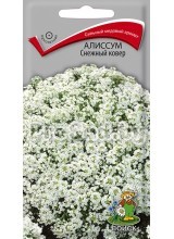 Алиссум Снежный ковер