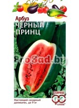 Арбуз Чёрный принц
