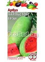 Арбуз Чарльстон грей