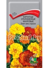 Бархатцы отклонённые махровые Петит смесь окрасок