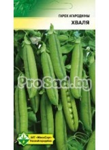 ГОРОХ овощной (мозговой) Волна