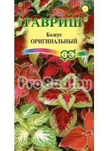 Колеус Блюме Оригинальный, смесь