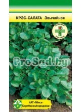 Кресс-салат Обыкновенный