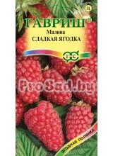 Малина Сладкая ягодка