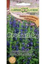 Змееголовник Горыныч