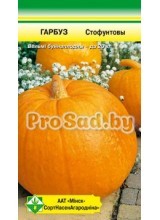 ТЫКВА Стофунтовая
