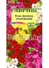 Флокс друммонда Очарование, смесь