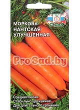 Морковь Нантская улучшенная